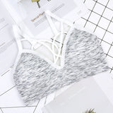 Fitness Sport Bra